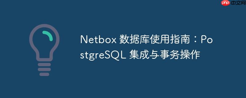 Netbox 数据库使用指南：PostgreSQL 集成与事务操作