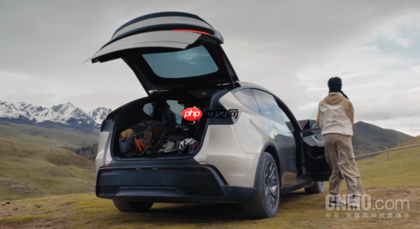 特斯拉Model Y L全面对比Model Y：更Long 也更Life