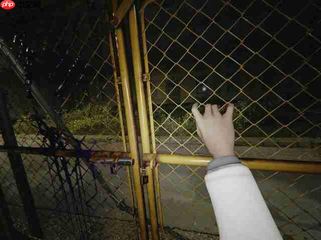 《宝可梦传说 Z-A》8月21日公布新预告 莫名恐怖气氛