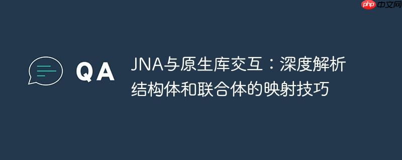 JNA与原生库交互：深度解析结构体和联合体的映射技巧
