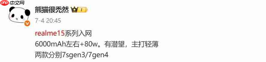 真我 15 系列取消 Pro+，全力打造“豪华版 Pro ”