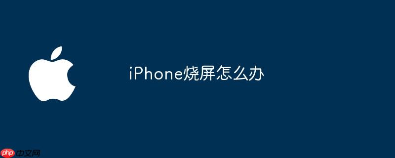 iPhone烧屏怎么办
