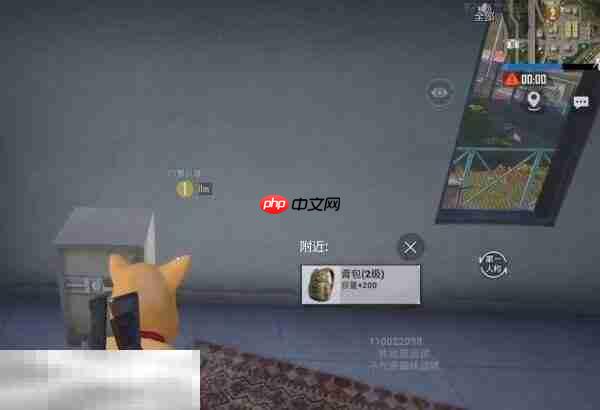 和平精英荣都保险柜在哪 荣都金条保险箱位置分布图