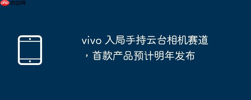 vivo 入局手持云台相机赛道，首款产品预计明年发布 