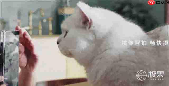  华为三折叠屏新机又放大招！带外折薄过直板机、主摄自拍 + 手势切屏体验拉满 .