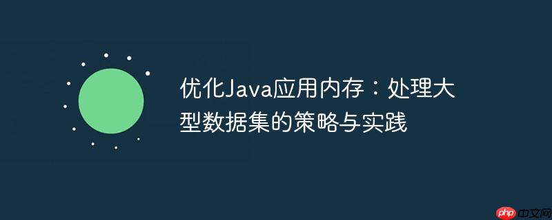 优化Java应用内存：处理大型数据集的策略与实践