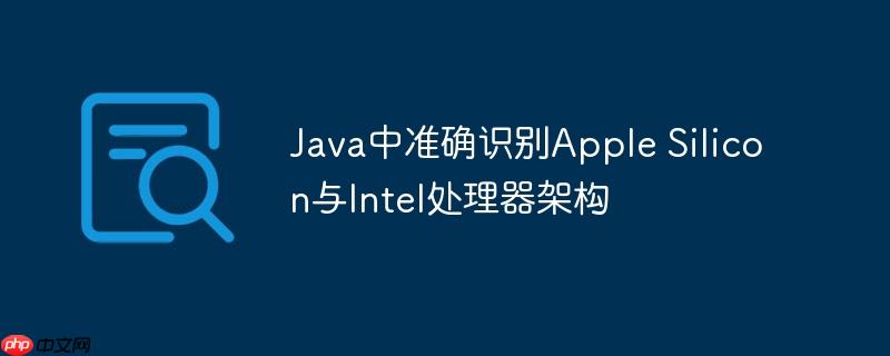 Java中准确识别Apple Silicon与Intel处理器架构