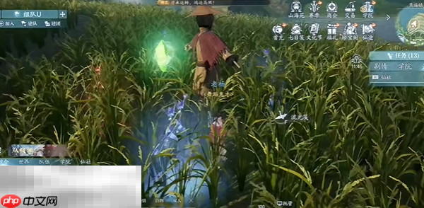 诛仙2稻田稚趣奇遇怎么触发 稻田稚趣中原奇遇完成方法