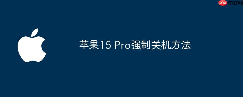 苹果15 Pro强制关机方法