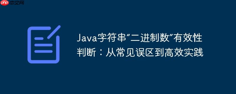 Java字符串“二进制数”有效性判断：从常见误区到高效实践