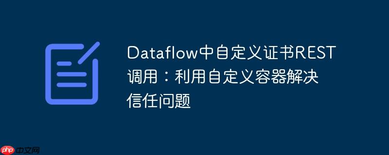 Dataflow中自定义证书REST调用：利用自定义容器解决信任问题