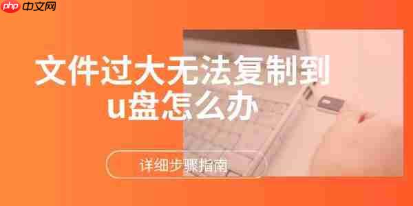 文件过大无法复制到u盘怎么办 详细步骤指南
