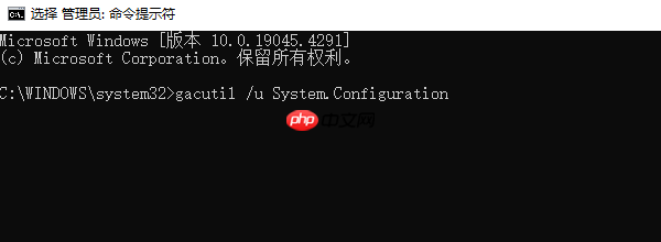 未能加载文件或程序集怎么解决 教你5种方法快速解决