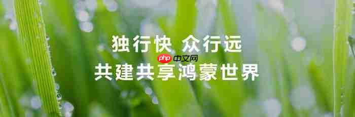  鸿蒙跨越千万里程碑 自主生态的破局之路 