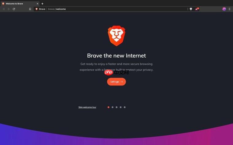 brave浏览器安全功能解析 brave中文官网地址全面介绍