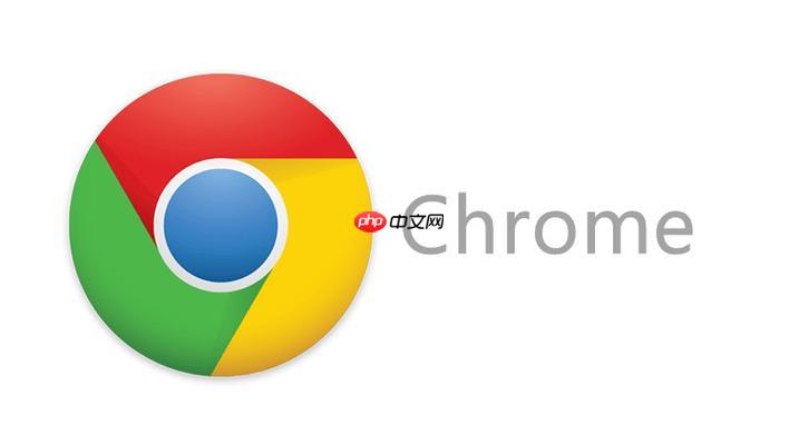 chrome浏览器官网最新版特性解析：速度与安全再升级