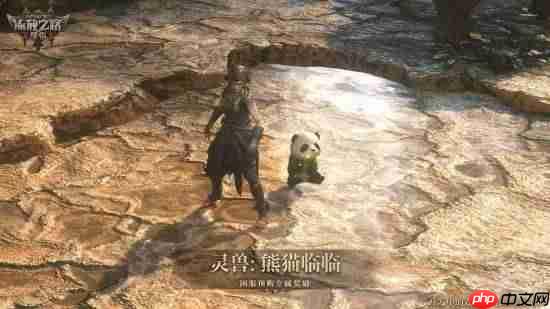 《流放之路2》国服预购倒计时！专属灵兽即将绝版