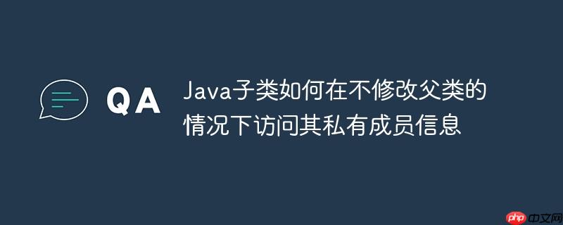 Java子类如何在不修改父类的情况下访问其私有成员信息