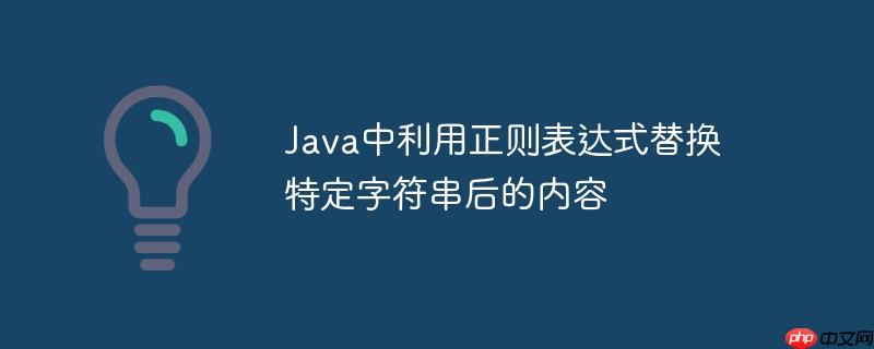 Java中利用正则表达式替换特定字符串后的内容