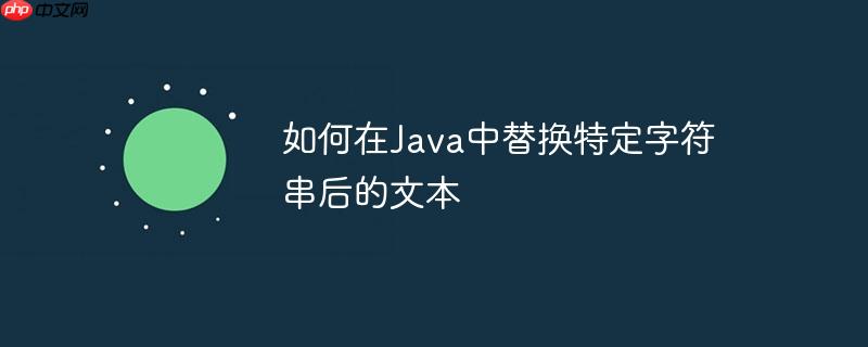 如何在Java中替换特定字符串后的文本