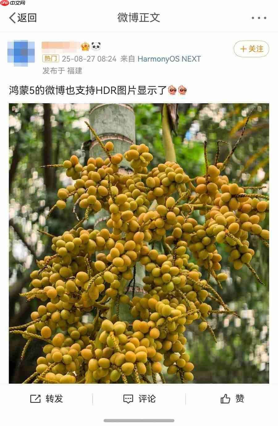 鸿蒙版微博已支持HDRVivid,画面更鲜活!社交、创作体验持续完善