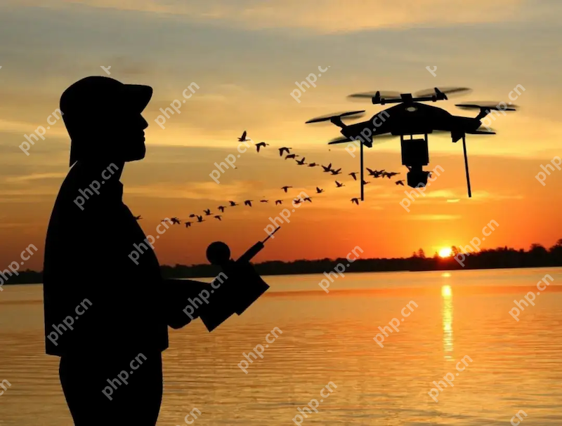 人机“黑飞”猖獗 公安部公布典型打击案例