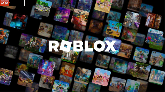 Roblox设立年龄限制专区:出于对儿童安全的担忧