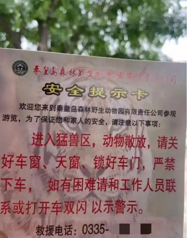 两车在秦皇岛野生动物园猛兽区发生剐蹭，多名游客下车当着老虎面吵架 - 创想鸟