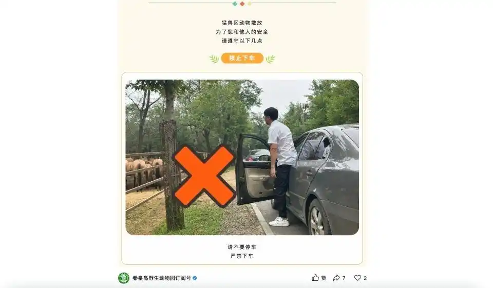 两车在秦皇岛野生动物园猛兽区发生剐蹭，多名游客下车当着老虎面吵架 - 创想鸟