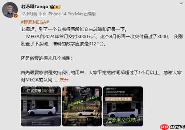 理想高管:MEGA八月交付3121台 已从去年的深渊中爬出