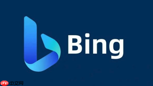 bing搜索浏览器在线操作技巧 bing搜索引擎链接地址实用分享