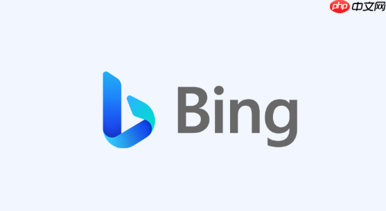 掌握bing在线浏览器搜索功能 bing搜索引擎高效查询技巧解析