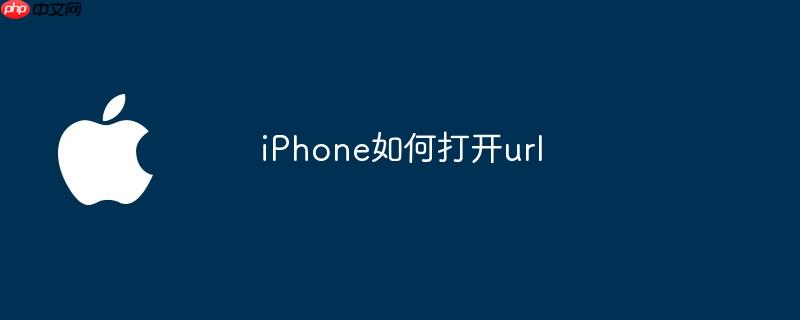 iPhone如何打开url