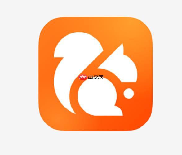 UC浏览器直接打开-UC浏览器网页登录通道