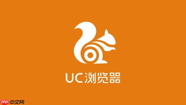 UC浏览器一键进入-UC浏览器网页直达链接