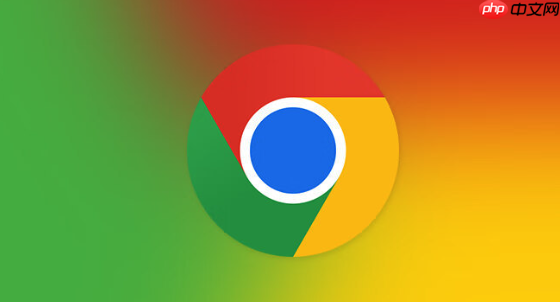 谷歌浏览器同步错误处理-Google浏览器同步问题解决指南