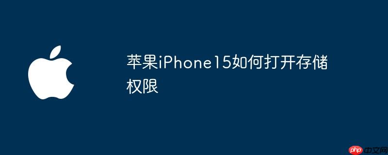 苹果iPhone15如何打开存储权限