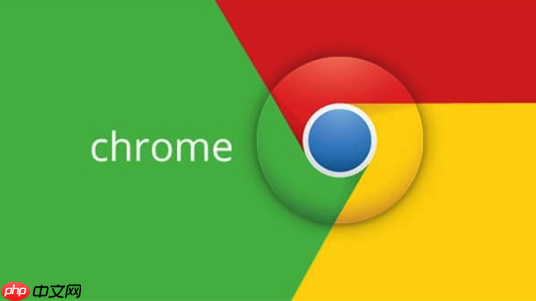 谷歌浏览器SSL证书错误-Google浏览器SSL问题解决指南