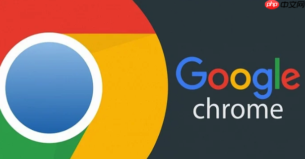 谷歌浏览器SSL证书错误-Google浏览器SSL问题解决指南