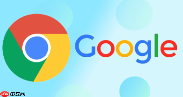 谷歌浏览器一键进入网页入口-谷歌网页版登录快速通道