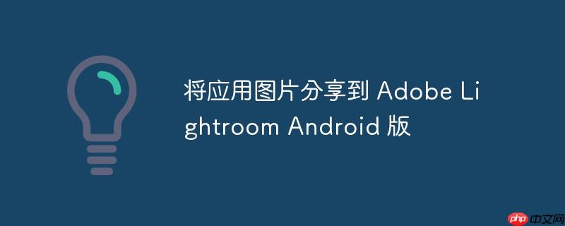 将应用图片分享到 adobe lightroom android 版