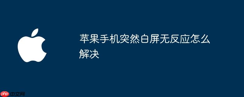 苹果手机突然白屏无反应怎么解决