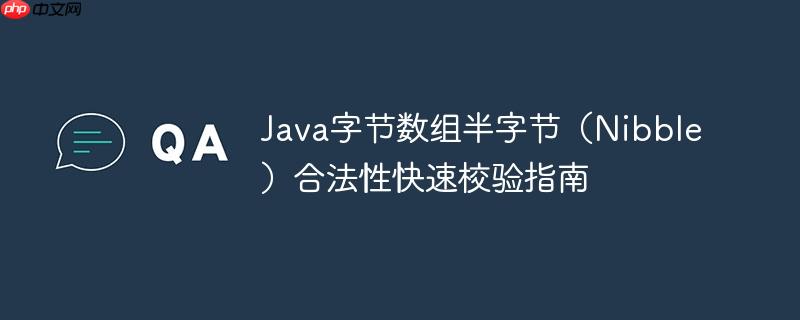 Java字节数组半字节（Nibble）合法性快速校验指南