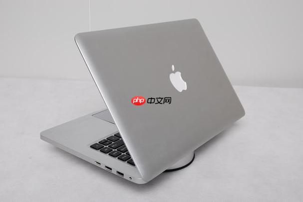 如何解决苹果电脑应用程序崩溃？清理缓存与重新安装软件