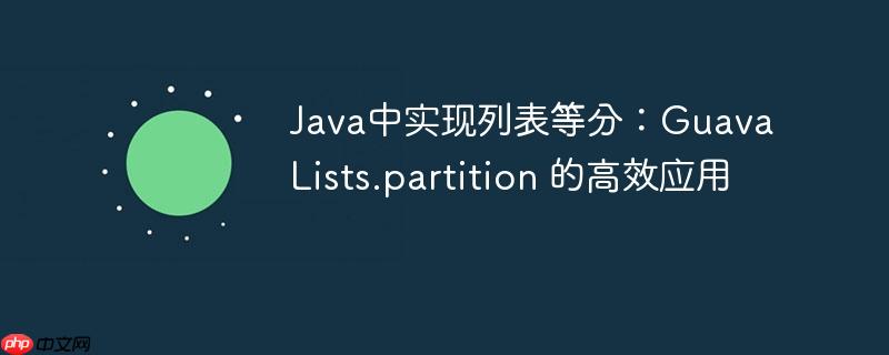 Java中实现列表等分：Guava Lists.partition 的高效应用