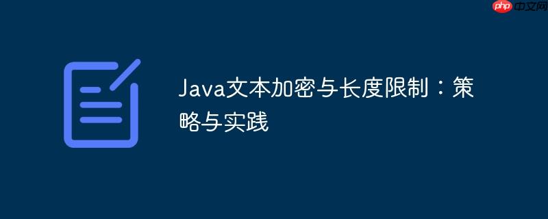 Java文本加密与长度限制：策略与实践