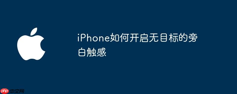 iPhone如何开启无目标的旁白触感