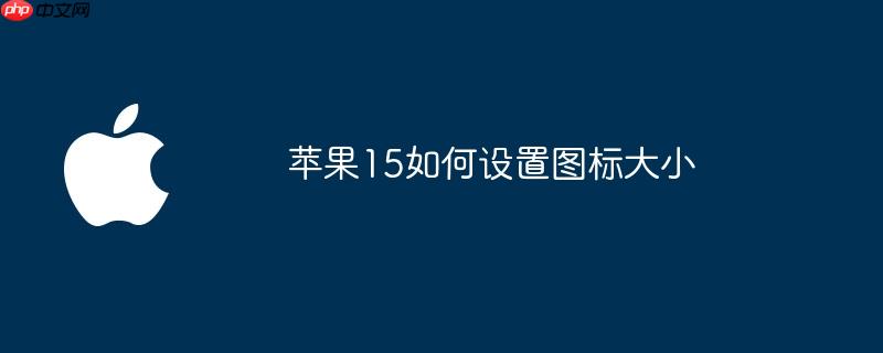 苹果15如何设置图标大小