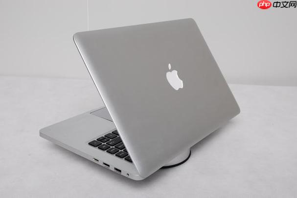 苹果电脑屏幕出现彩色条纹如何修复？重置显卡与检查硬件