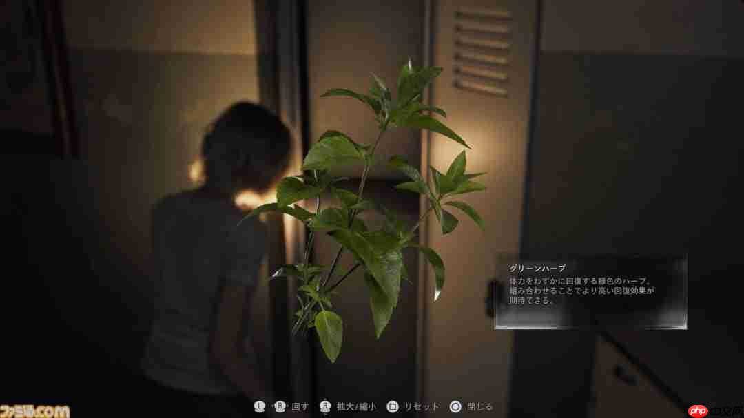 《生化危机9》外媒试玩报道：像极了小岛被砍掉的《寂静岭P.T》